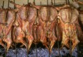 /album/fotogaleria/borrego-jpg/